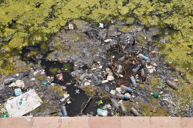 Trash in Gwalior Fort, India.jpg