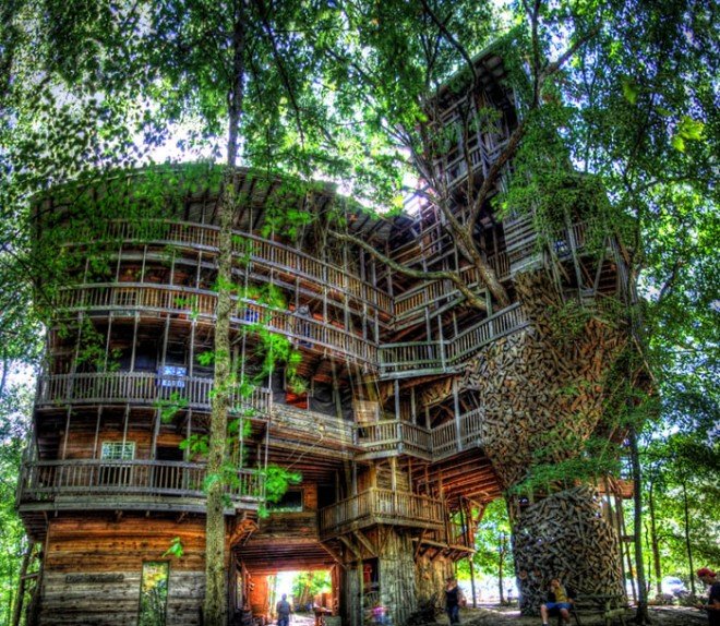 25-tree-house.preview.jpg