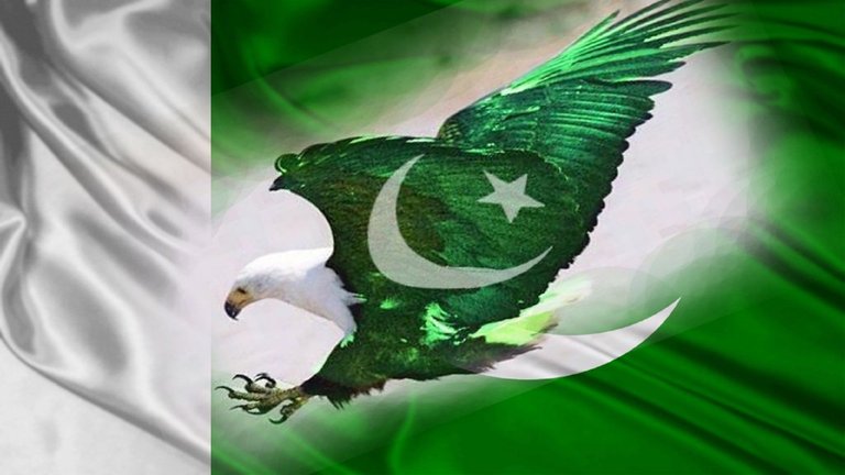 eagle-pakistani-flag-wallpapers-free-hd.jpg