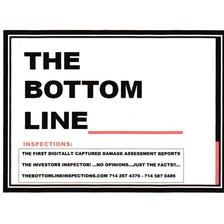 new bottom line logo.jpg