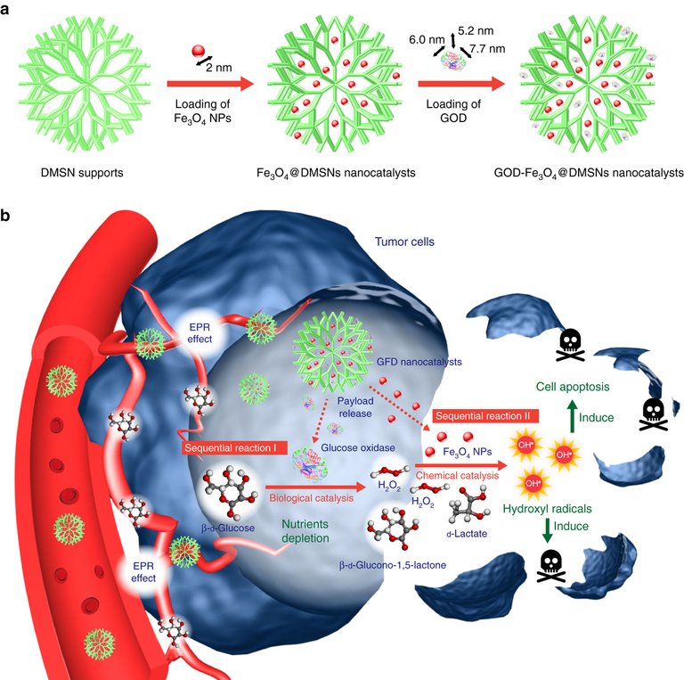 Tumour catalytic nanomedicine.jpg