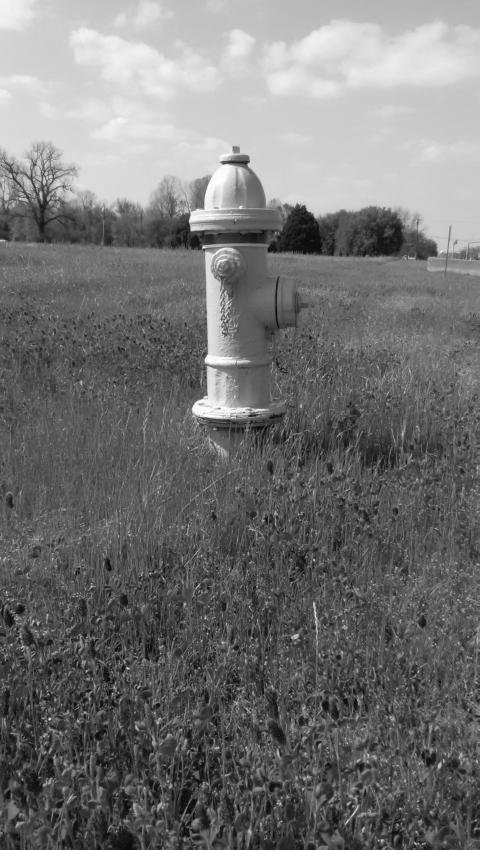 fire hydrant (bw) 1.jpg