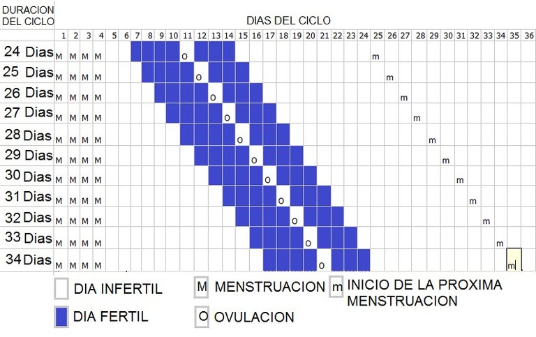 grafico.jpg