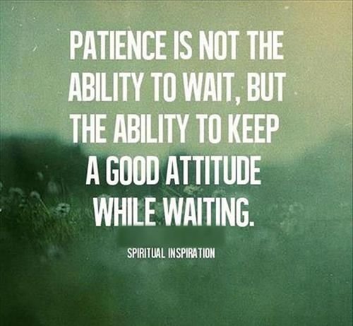 90d3a1b53f3732b069106360b0dcc71c--patience-quotes-meditation.jpg