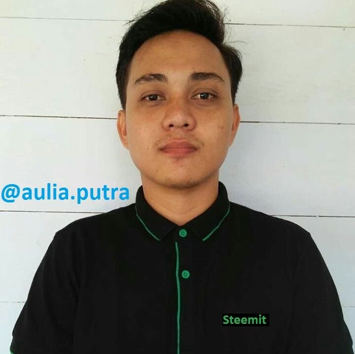 Aulia.jpeg