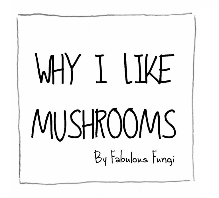 Why I like mushrooms cover.jpg