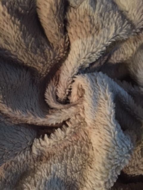 Fuzzy blanket.JPG