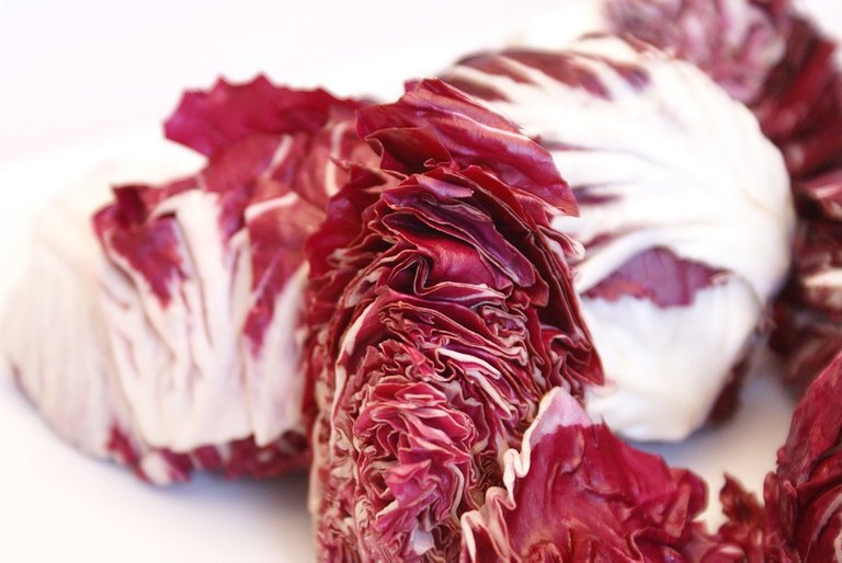 radicchio-74315_960_720.jpg