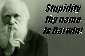 darwinmeme.jpg