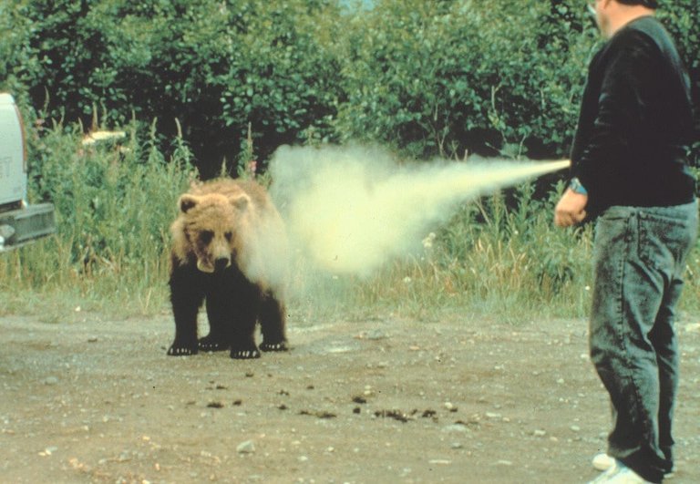 Pepper-spray-on-bear.jpg