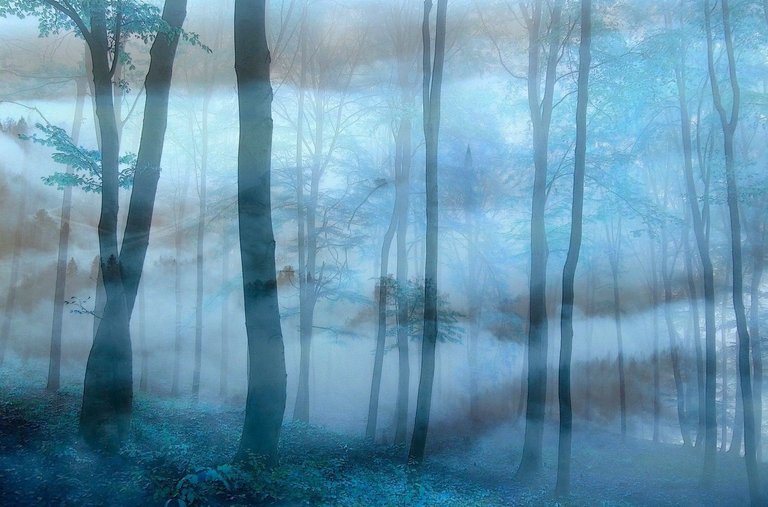 forest-blue-fog-blend.jpg