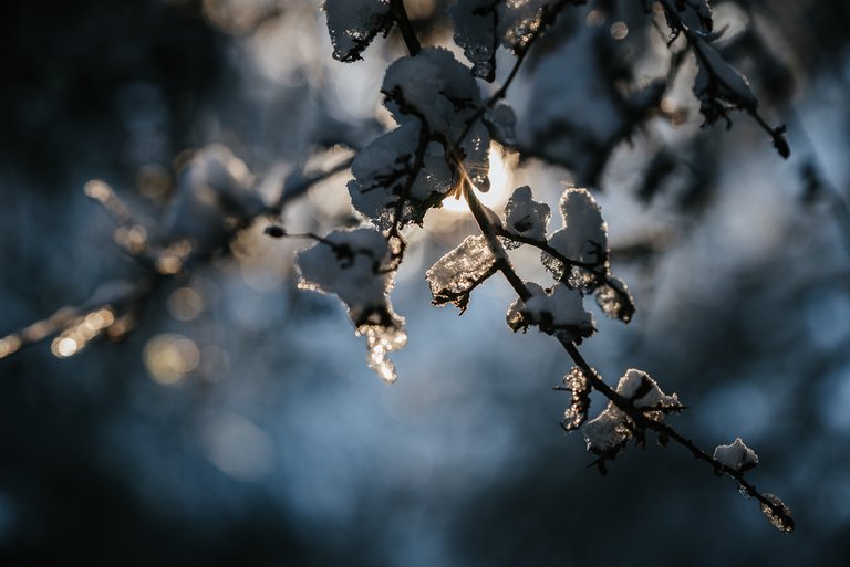 Winter snowfall in Worcestershire-1.jpg