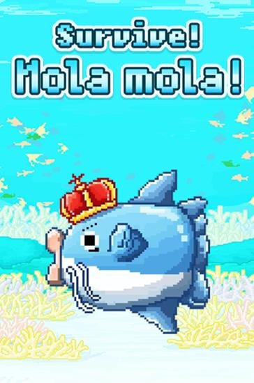 1_survive_mola_mola.jpg