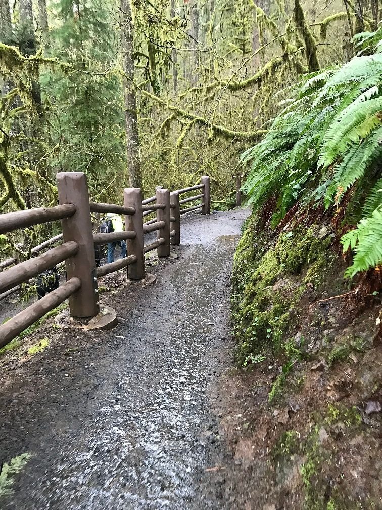 Trail to South and Lower South Falls.jpg