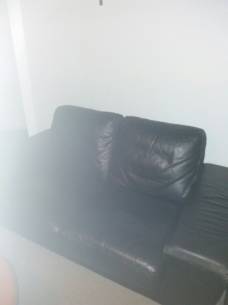 new couch 11.jpg