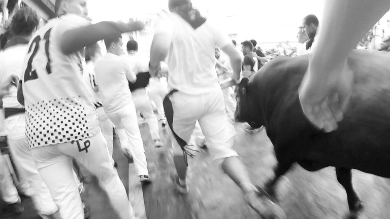 Running with the bulls.jpg