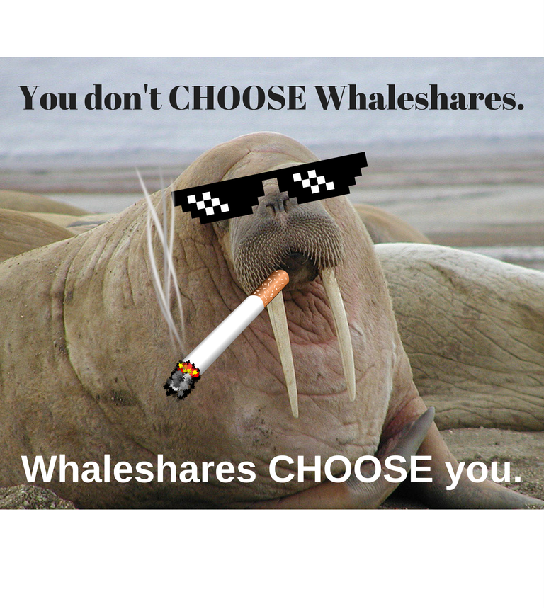 You don't choose whale shares-1.png