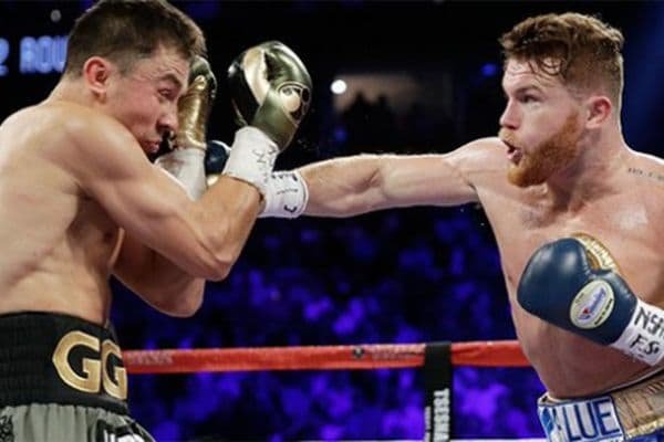 Canelo #2.jpg