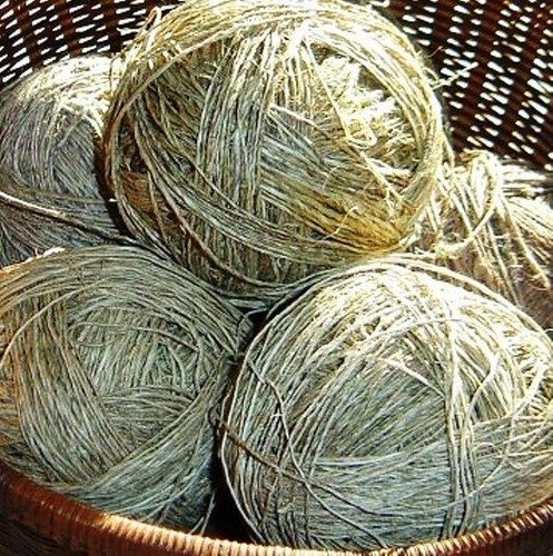 Cellulose Fibers.jpg