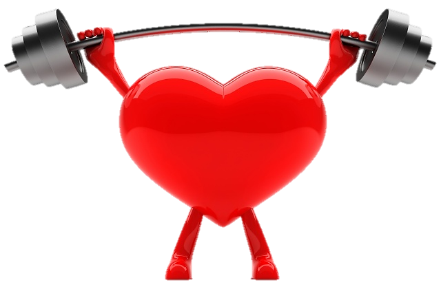 healthy_heart.pngt1484930444325ampwidth320ampnamehealthy_heart.png