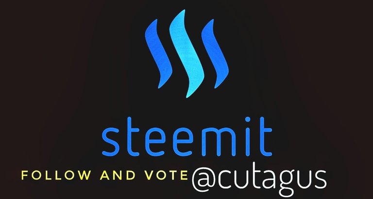 steemit-logo-blockchain-social-media-platform-1068x559-01.jpeg