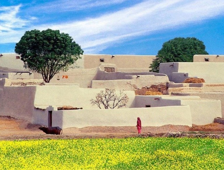 A-typical-Pakistani-Village.jpg