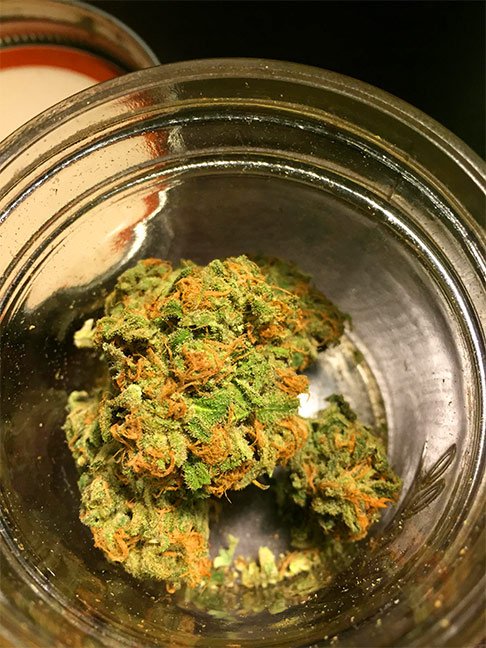 marijuana-review-skywalker-OG-Monkey-Grass-farms.jpg