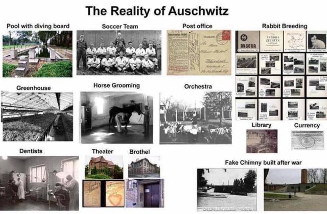 reality-of-auschwitz.jpg