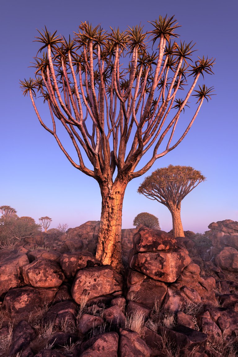 Namibia-1.jpg