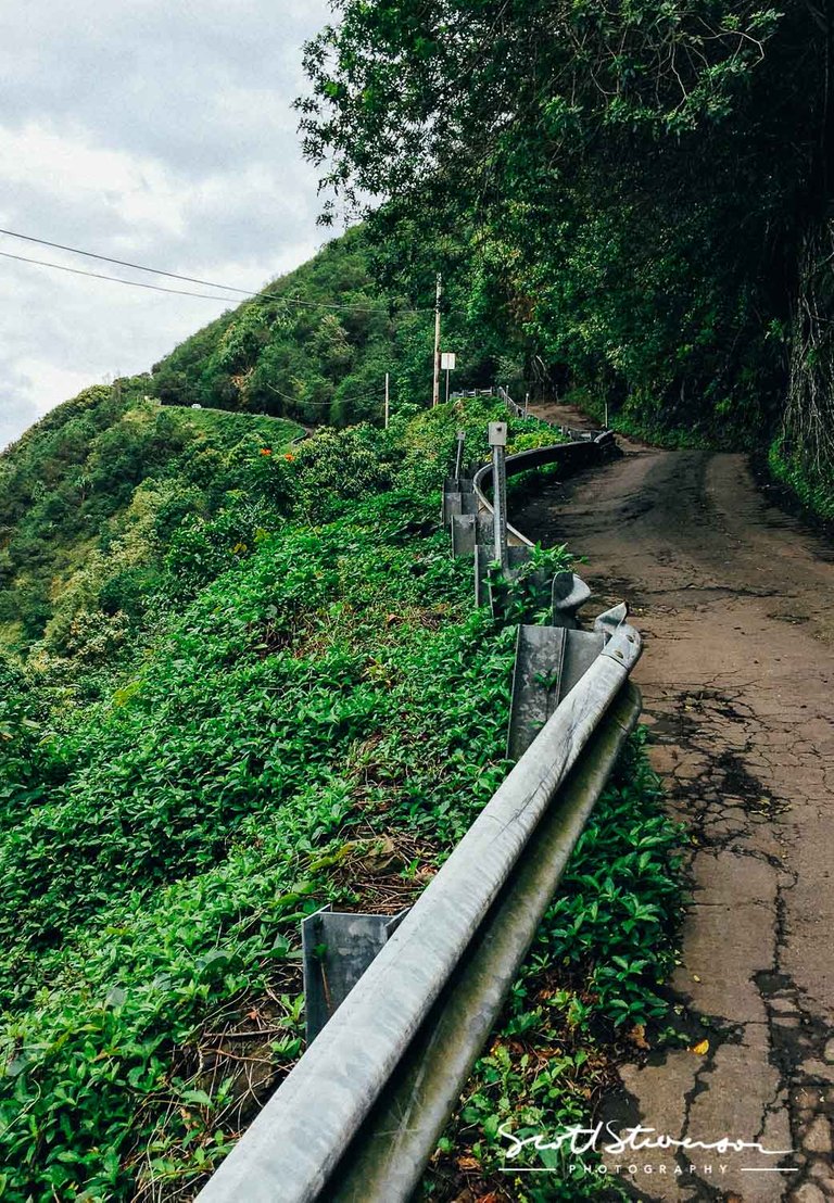 Waipio Valley-1.jpg