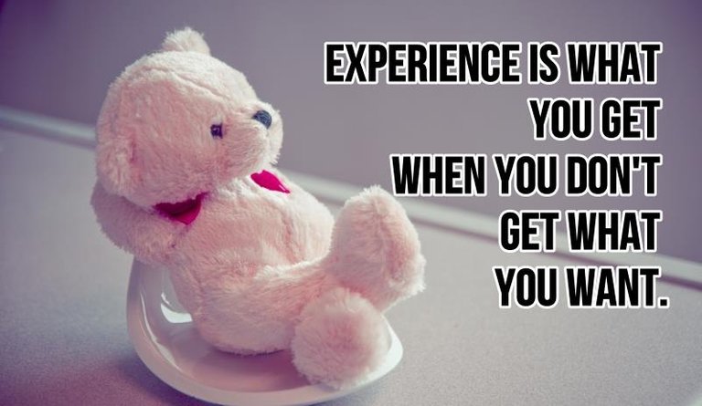 Experience is what you get when you don’t get what you want..jpg