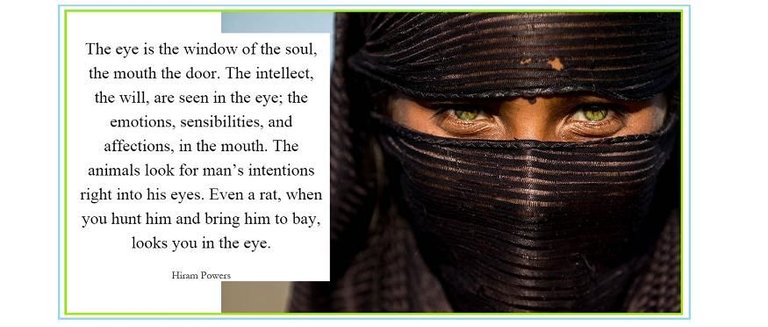 Eyes-are-windows woman niqab quote.jpg