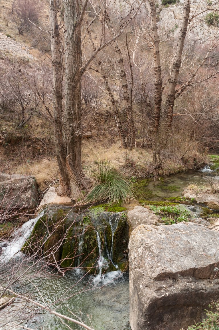 Excursión Martín del Río (26).jpg