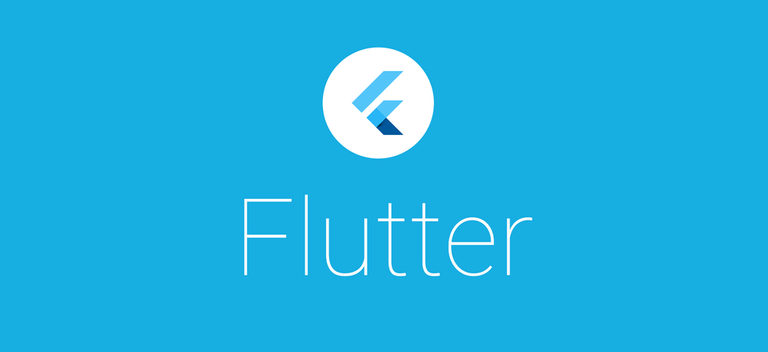 20180228-google-flutter-sdk-02-w960.png