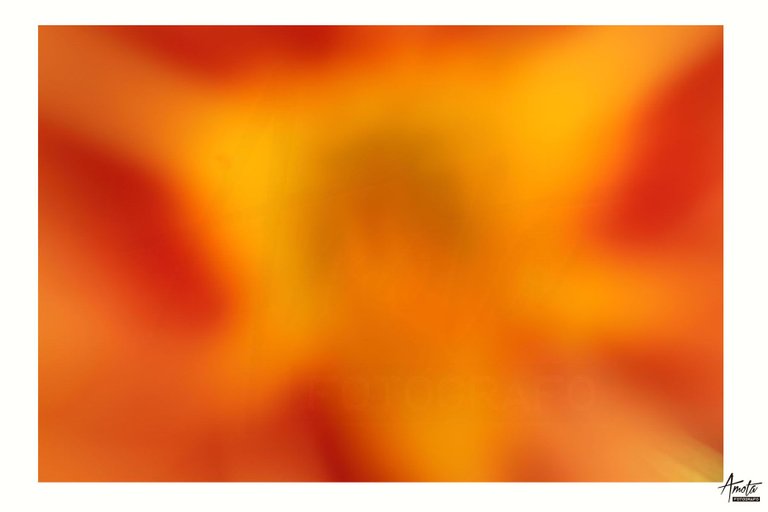 Abstracion_Naranja.jpg