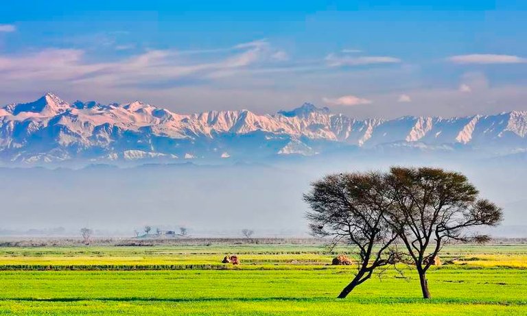 Rural areas near Punjab river 2.jpg