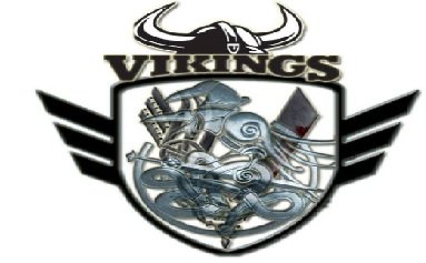 vikings.jpg