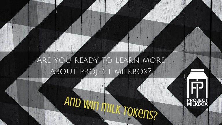 Proyect Milkbox (1).jpg