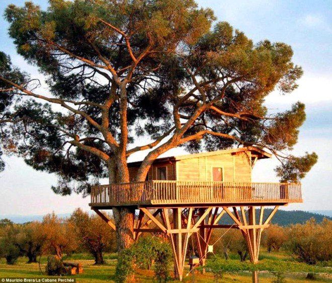 23-tree-house.preview.jpg