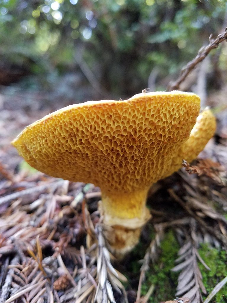 20171219_131535.jpg