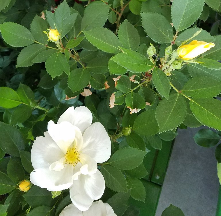 20180506_193145.jpg