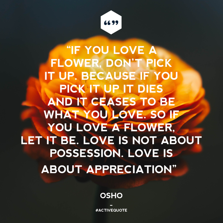 LOVE - QUOTE.png