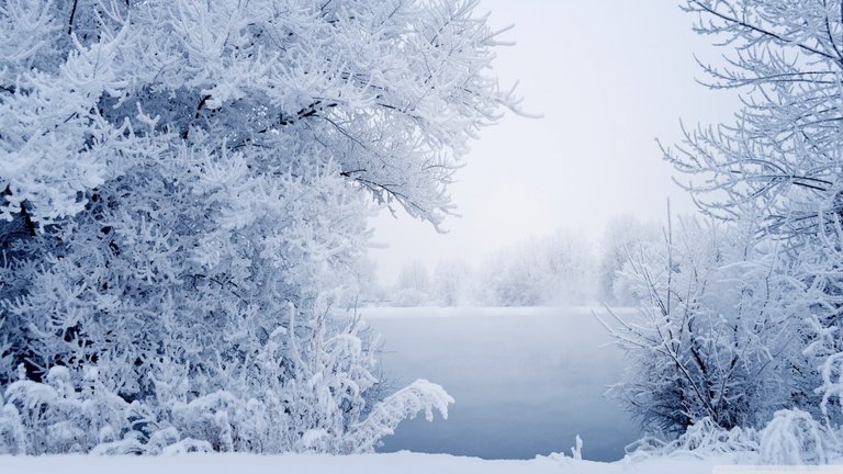 winter_2-wallpaper-1600x900.jpg