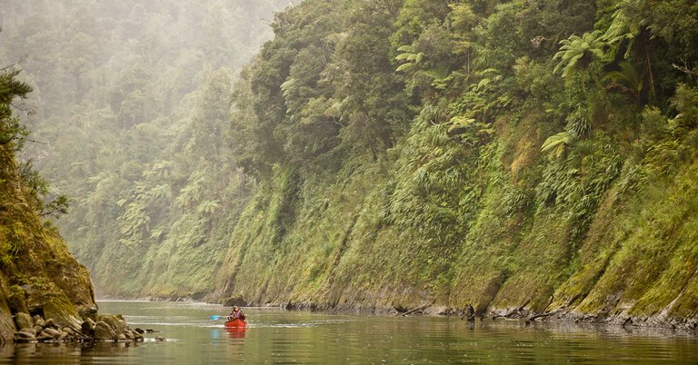 Whanganui-River-Upper.jpg