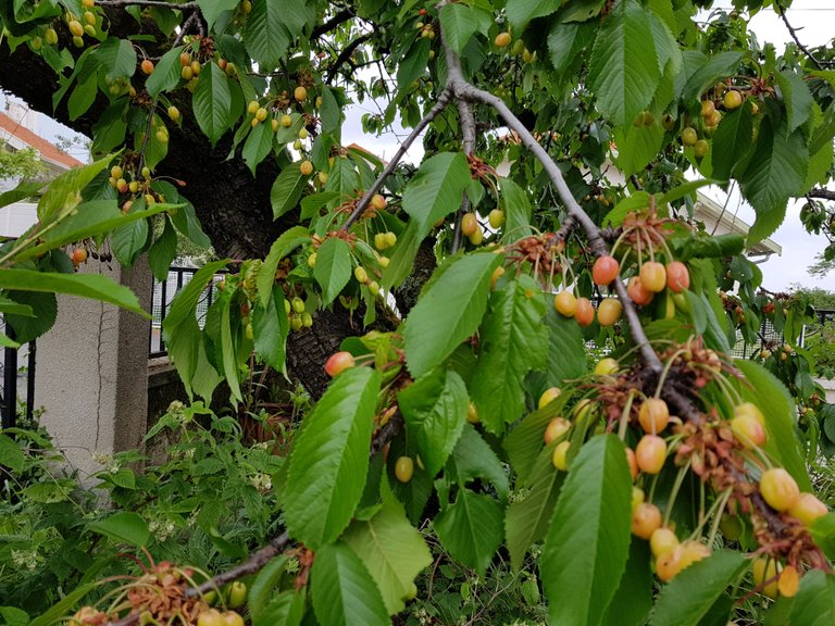 20180509_155405.jpg