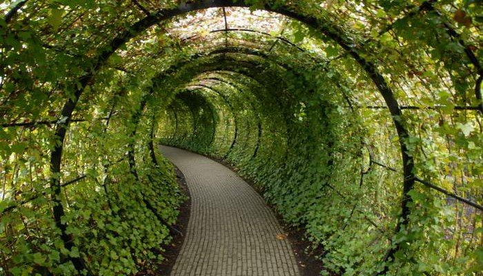 The-Poison-Garden-700x400.jpg