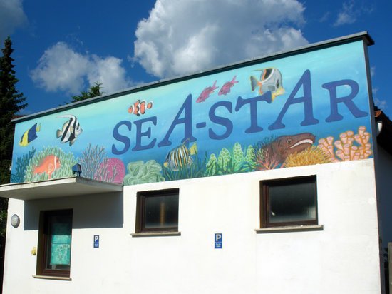 sea-star-aquarium-coburg2.jpg