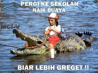 118 Meme Kocak Dan Lucu Greget Mad Dog-02.jpg