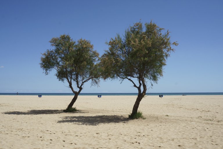 Spiaggia.JPG