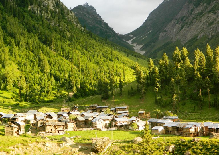 minimarg3.jpg